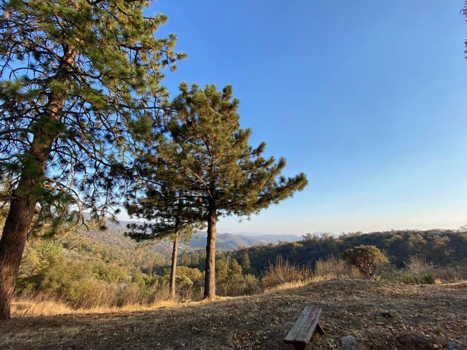 Modern Airstream With Amazing View - 10 To 15 Minutes From Kings Canyon National Park Dunlap Eksteriør bilde